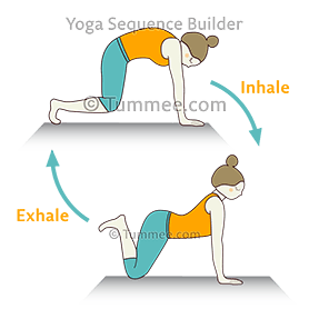 Cat Pose Hovering Cow Pose Feet Up Flow Yoga Marjaryasana Hovering Bitilasana Pada Uttana Vinyasa Yoga Sequences Benefits Variations And Sanskrit Pronunciation Tummee Com