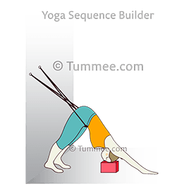 Three Legged Downward Facing Dog Pose Yoga (Tri Pada Adho ...
