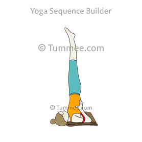 Legs Up The Wall Pose Variation Yoga Half Shoulderstand Pose Yoga Sequences Benefits Variations And Sanskrit Pronunciation Tummee Com